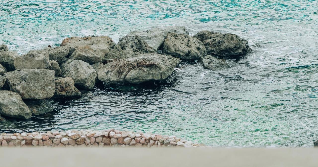 Terra Boutique Hotel Curacao 威廉斯塔德 外观 照片